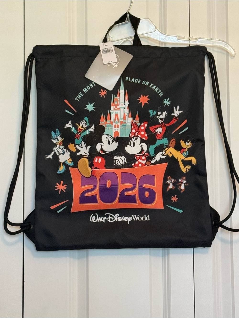 NWT - Disney World 2026 Character Drawstring Backpack